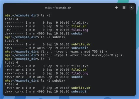 sudo chmod 755|macos .